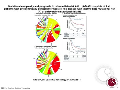 Mutational complexity and prognosis in intermediate-risk AML
