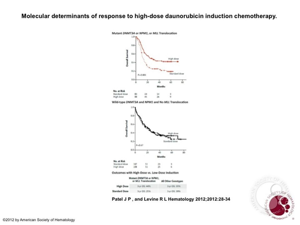 Molecular determinants of response to high-dose daunorubicin induction chemotherapy