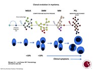 Clonal evolution in myeloma