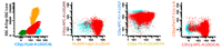 Flow cytometry BPDCN