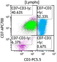 Chronic Lymphoproliferative Disorder of NK Cells - Flow Plots