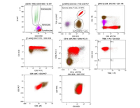 T-cell large granular lymphocytic leukemia 2