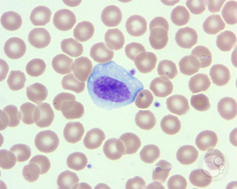 download imagery in translation практикум по художественному переводу учебное пособие на английском