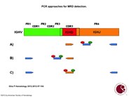 PCR approaches for MRD detection