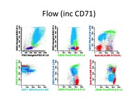 Diamond Blackfan Anemia Flow Cytometry