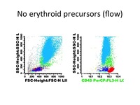 Diamond Blackfan Anemia Flow Cytometry