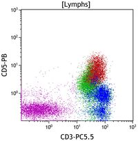 Gamma-delta T lymphocytes 1