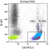 T-Prolymphocytic leukemia