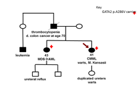 Myeloid Neoplasm-GATA2-Pedigree