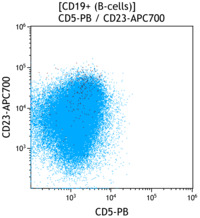 CLL-CD5 vs CD23