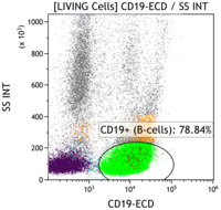 CLL-CD19