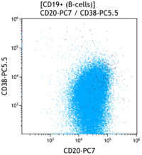 CLL-CD20 vs CD38