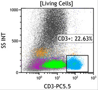 Chronic Lymphoproliferative Disorder of NK Cells - Flow Plots