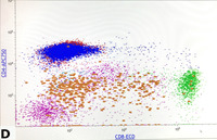 Lymphocytic variant of HES- Immunophenotype