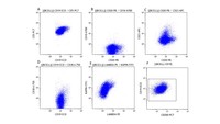 flow-cytometry-of-the-lymph-node-biopsy