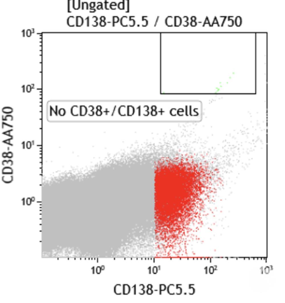 CD38 Negative Persistent Myeloma 1