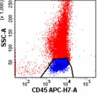 Flow cytometry of left knee joint fluid