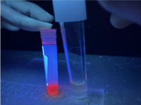 D. Amniotic fluid under ultraviolet exposure