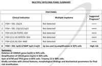 Myeloma FISH panel also showed high risk features of 1q amplification and 1p loss in 92% cells (Fig C).