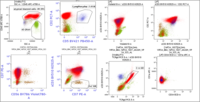 Flowcytometry positive for CD2,CD7,surface CD3,TCR gamma delta