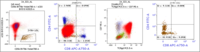 Flowcytometry shows TCR Gamma Delta positive