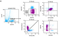 Flow cytometry analysis of core liver biopsy