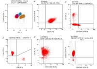 ATLL flow cytometry
